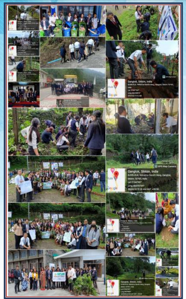 NSS Plantation & Drives